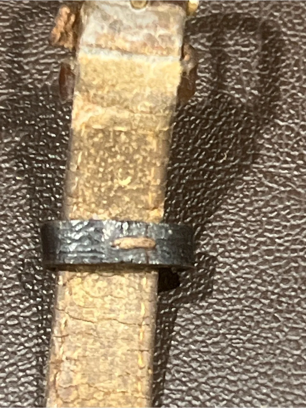 Timex Gold Tone Case White Dial Watch with Brown Strap